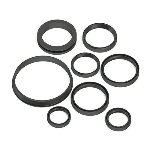  Lip Seals